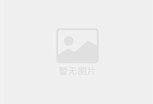 速冻大蒜（出口品质）